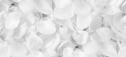 ADALÉKANYAGOKRÓZSASZIRMOK RÓZSASZIRMOK