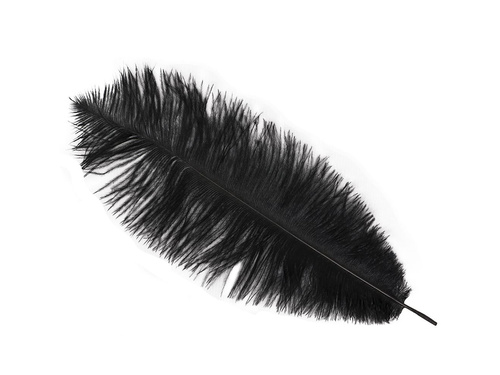 Nagy fekete toll - 30 cm - 1 db.