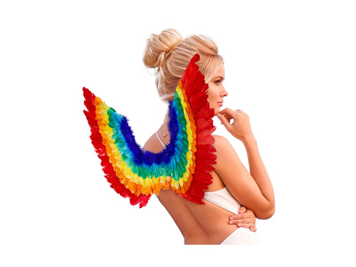 Szivárványos tollszárnyak 60×40 cm