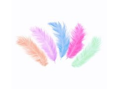 Dekoratív tollak vegyes színek hosszúak - 50 db.
