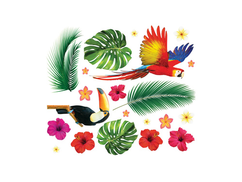 Trópusi madarak matricák - 21 db.