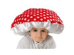 Nagy varangyos kalap