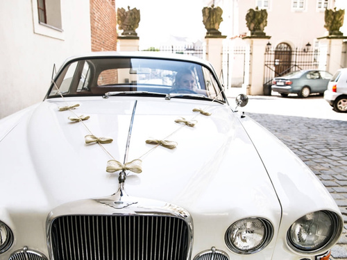 Autódíszek készlete Íjak - 5 elem.