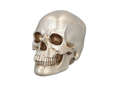 Fényes Halloween koponya - 1 db.