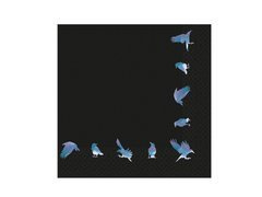 Holló Halloween szalvéták - 33 cm - 16 db.