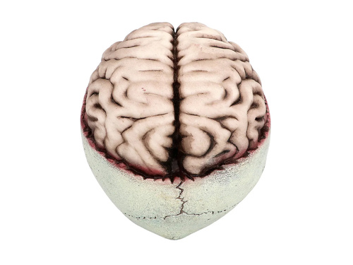 Halloween koponya mozgatható állkapoccsal - 1 db.