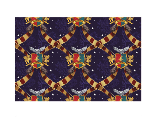 Magic School fóliás terítő - 137 x 274 cm - 1 db.