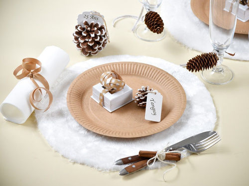 Kraft tányérok - 22,5 cm - 10 db.