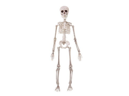 Akasztós dekoráció Csontváz - 50 cm - 1 db.