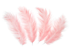 Dekoratív baracktollak hosszúak - 50 db.