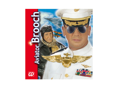 Arany repülős bross