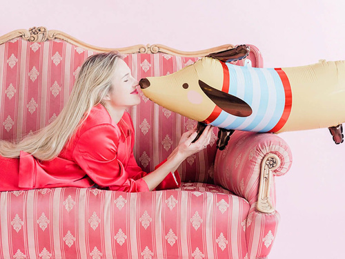 Fólialufi tacskó - 90 x 40 cm - 1 db.