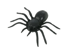 4 műanyag pókból álló készlet - 10 cm