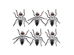 Műanyag legyek Halloweenre - 6 db.