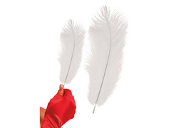 Nagy fehér toll - 30 cm - 1 db.