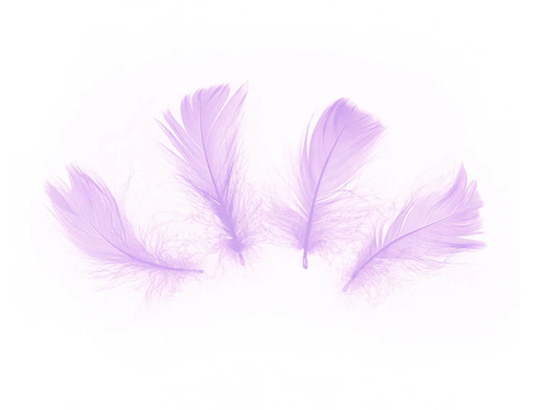 Dekoratív lila rövid tollak - 50 db.