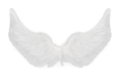 Fehér angyalszárnyak - cm - 1 db.