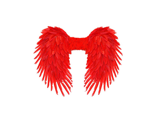 Piros összecsukható tollszárnyak 80×60 cm