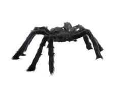 Szőrös pók - 50 cm