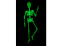 Fluoreszkáló csontváz - 150 cm
