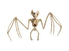 Denevér csontváz dekoráció - 30 cm - 1 db.