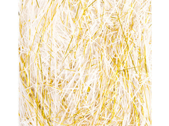 Ajándék töltőanyag fehér és arany - 50 g