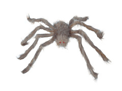 Szürke pók - 60 cm - 1 db.