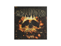 Halloween koponyás szalvéta - 33 cm - 10 db.