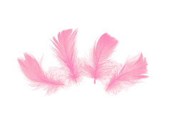 Dekoratív rózsaszín rövid tollak - 50 db.