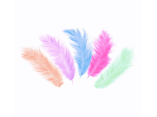 Dekoratív tollak vegyes színek hosszúak - 50 db.