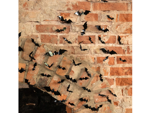 3D denevér fóliamatricák - 60 db.