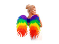 Szivárványos összecsukható tollszárny 80×60 cm
