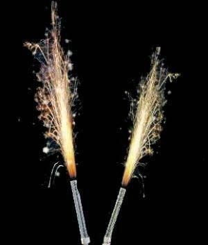 Arany torta szökőkút - 25 cm - 1 db.