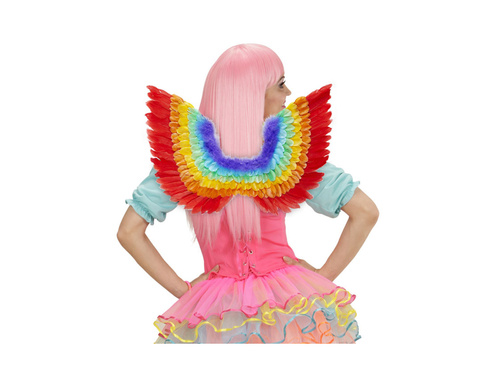 Szivárványos tollszárnyak 60×40 cm