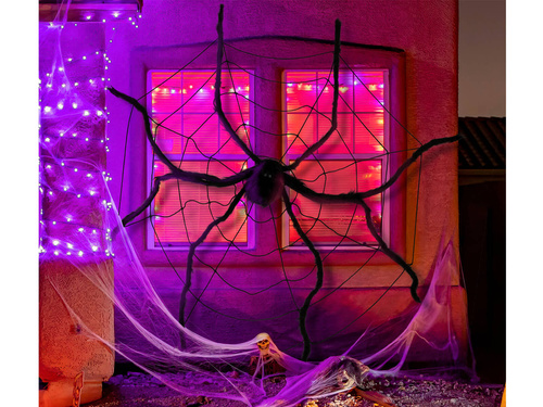 Pókháló pókkal - 1 op.