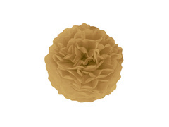 Függő pom pom virág dekoráció - aranybarna - 25 cm - 1 db.