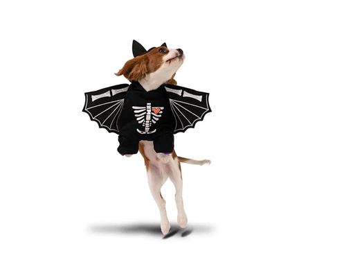 Denevér jelmez a kutyádnak