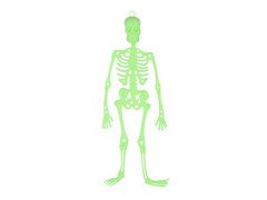 Akasztós dekoráció Csontváz - 33 cm - 1 db.
