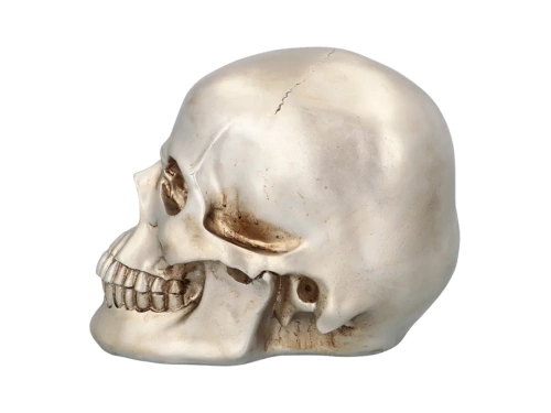 Fényes Halloween koponya - 1 db.