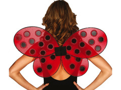 Katicabogár szárnyak - 1 pár