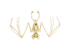 Denevér csontváz dekoráció - 30 cm - 1 db.