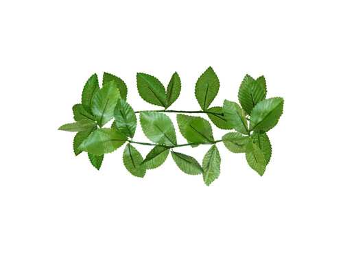 Zöld babérkoszorú - 1 db.