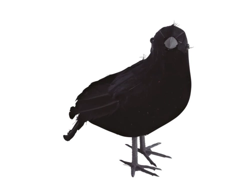 Fekete varjú - 25 cm