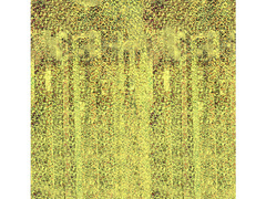 Arany holografikus ajtófüggöny - 250 cm x 100 cm