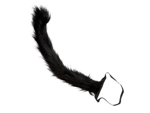 Macska farok fekete