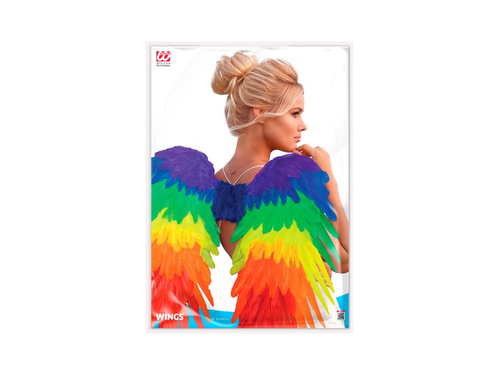 Szivárványos összecsukható tollszárny 80×60 cm