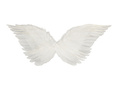 Angyalszárny készlet fehér 67 x 26 cm és Aureole
