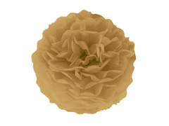 Függő pom pom virág dekoráció - aranybarna - 35 cm - 1 db.