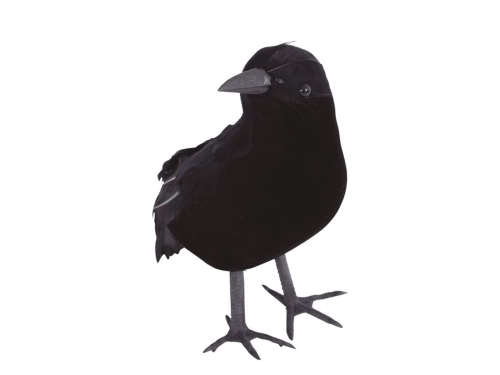 Fekete varjú - 25 cm