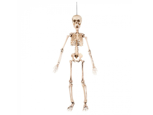 Akasztós dekoráció Csontváz - 50 cm - 1 db.
